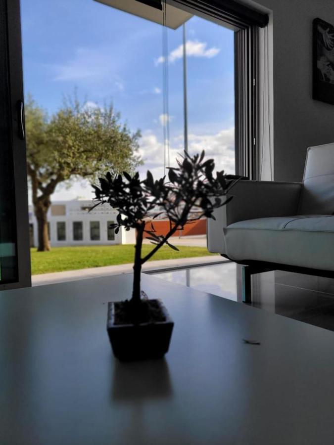 Olive Ap. Apartment Torreira Exterior foto